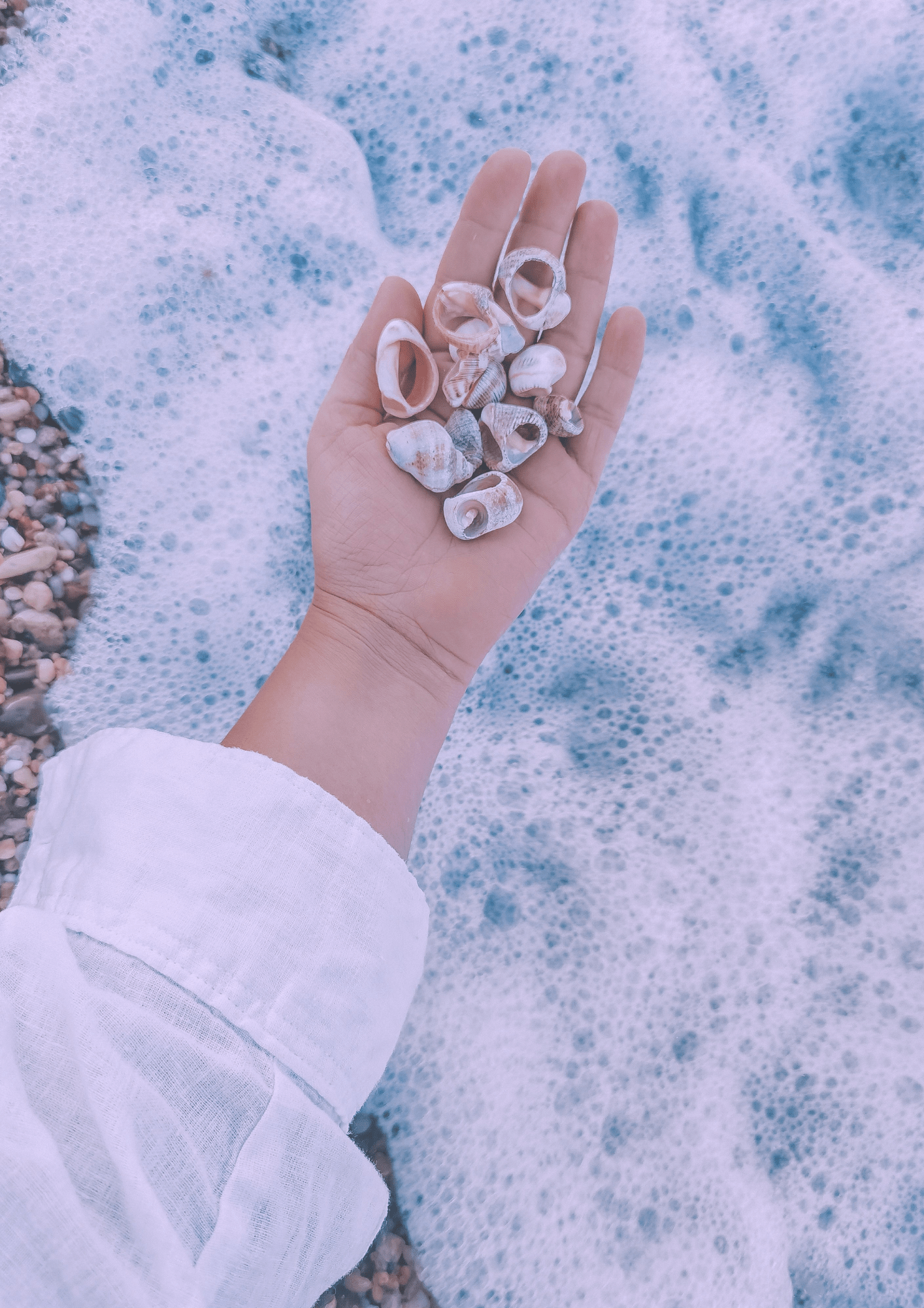 Couples therapy and relationship support represented by seashells in a hand beside calming ocean waves